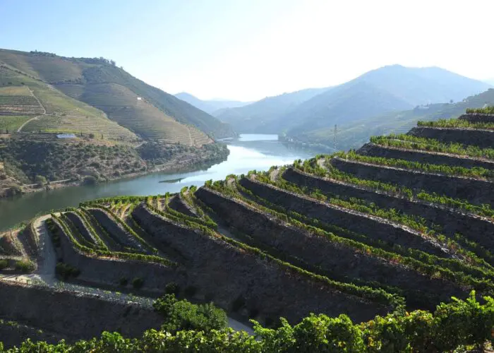 Douro Valley - The Magical Wine Land
