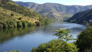 douro-river-5139525_1920