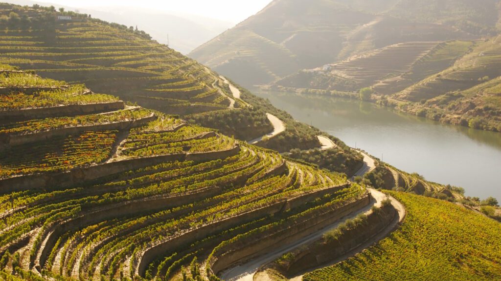 Douro Valley