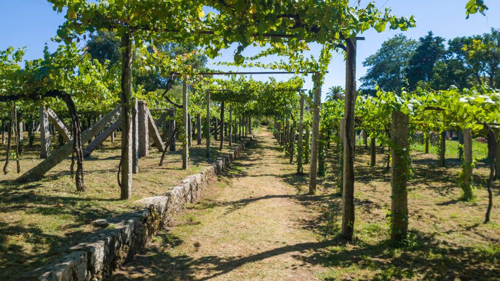 Route of the Romanesque and Vinho Verde